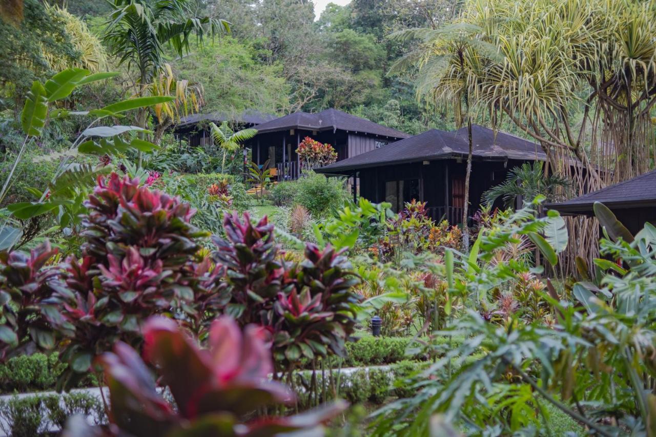 Hotel Lomas Del Volcan La Fortuna Exteriér fotografie
